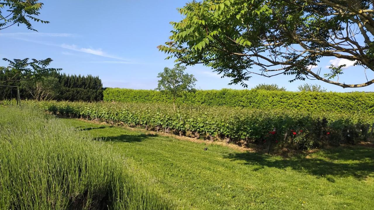 Clos Des Chenevieres, 3 Etoiles Comblanchien Eksteriør bilde